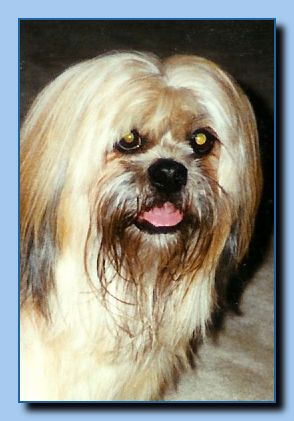 2-50 animal portrait-archive-0001